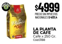 Diarco La planta de café oferta