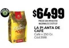 Diarco La planta de café - la planta de café café x 250 gr. cód:3188 oferta