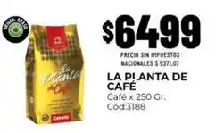 Diarco La planta de café - café cód:3188 oferta