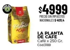 Diarco La planta de café - café x 250 gr. cód:3188 oferta