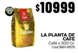Diarco Cabrales - café x 500 gr. cód:3661-18375 oferta