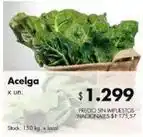 Acelga