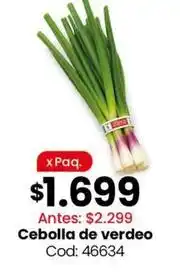 Coto Cebolla de verdeo cod: 46634 oferta
