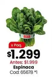 Coto Coto - espinaca cod: 65678 oferta