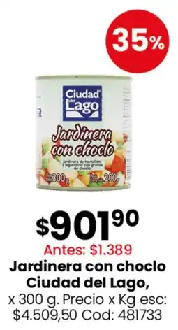 Coto Ciudad del lago - jardinera con choclo oferta