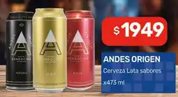 Nini Mayorista Andes origen cerveza lata sabores oferta