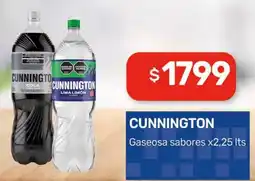 Nini Mayorista Cunnington gaseosa sabores oferta