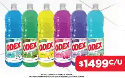 Nini Mayorista Odex liquido limpiador oferta