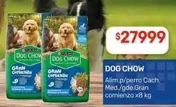 Nini Mayorista Dog chow gran comienzo oferta