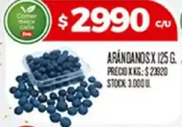 Supermercados DIA Arándanos oferta