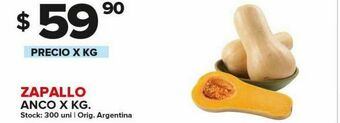 Carrefour Zapallo x kg oferta