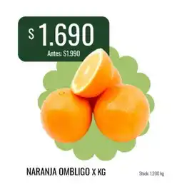 Super MAMI Naranja ombligo oferta