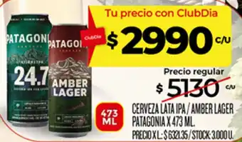 Patagonia cerveza lata ipa / amber lager