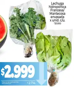 La Anonima Lechuga hidropónica Francesa/Mantecosa envasada oferta