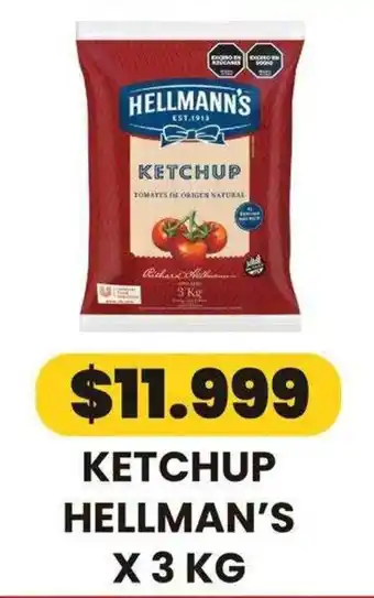 Hellmann's ketchup