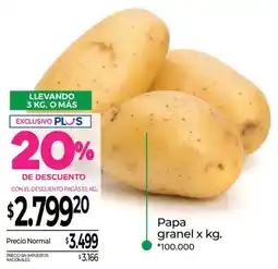 La Anonima Papa granel oferta