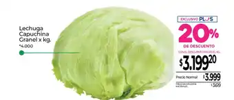 Lechuga Capuchina Granel