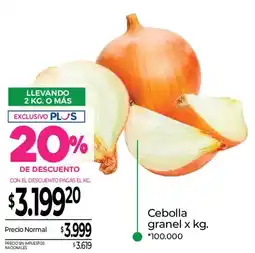 La Anonima Cebolla granel oferta
