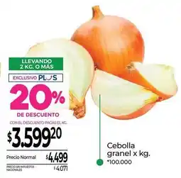 La Anonima Cebolla granel x kg oferta