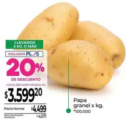 La Anonima Papa granel oferta
