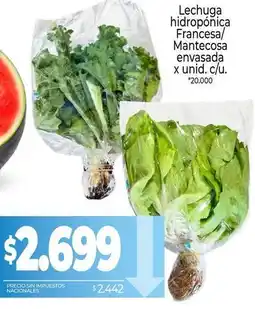 La Anonima Lechuga hidrop ext{ó}nica francesa/mantecos ext{a} oferta