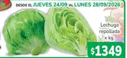 Beltrán Supermercados Lechuga repollada oferta