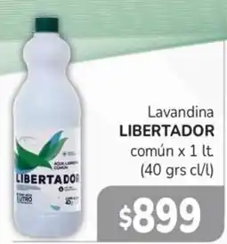 Beltrán Supermercados Libertador lavandina común oferta