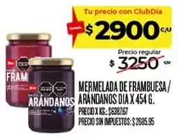 Supermercados DIA Día mermelada de frambuesa/arándanos oferta