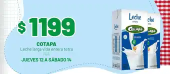 Vida - leche larga entera tetra