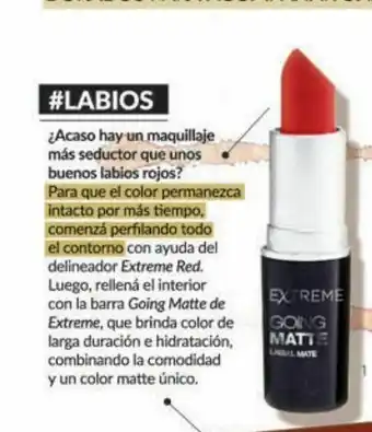 Farmacity Labial en barra going matte. oferta
