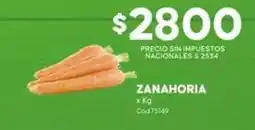 Diarco Zanahoria x kg cod75m9 oferta