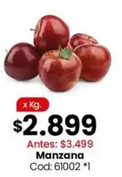 Coto Manzana cod: 61002 oferta