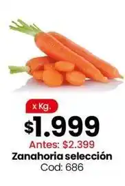 Coto Zanahoria seleccion cod: 686 oferta