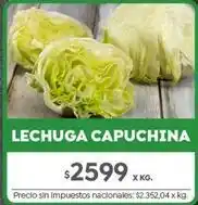 Jumbo Lechuga capuchina oferta