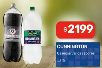 Nini Mayorista Cunnington gaseosa varios sabores oferta