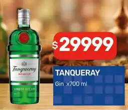 Nini Mayorista Tanqueray Gin oferta