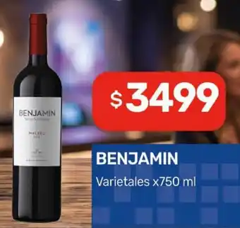 Nini Mayorista Benjamin varietales oferta