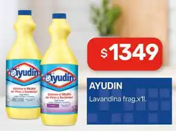 Nini Mayorista Ayudin lavandina frag oferta