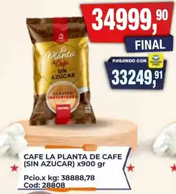 Maxiconsumo La planta de cafe sin azucar oferta