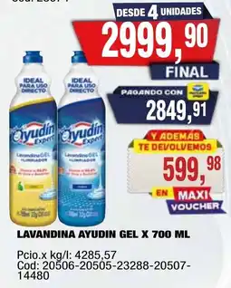 Maxiconsumo Ayudin lavandina gel oferta