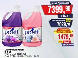 Maxiconsumo Poett limpiador oferta