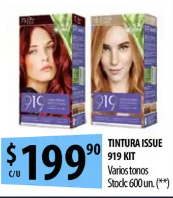 Punto Mayorista Issue 919 Kit Tintura oferta