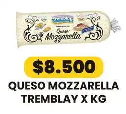 Autoservicio Capo Tremblay queso mozzarella oferta