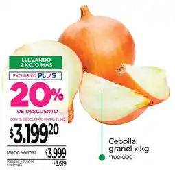 La Anonima Cebolla granel oferta