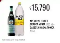 Supermercados Tadicor Fernet branca - aperitivo fernet branca menta + gaseosa magna tónica oferta