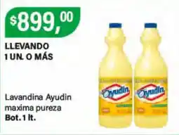 Supermercados Damesco Ayudin lavandina maxima pureza oferta
