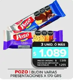 Carrefour Maxi Pozo budin varias presentaciones oferta