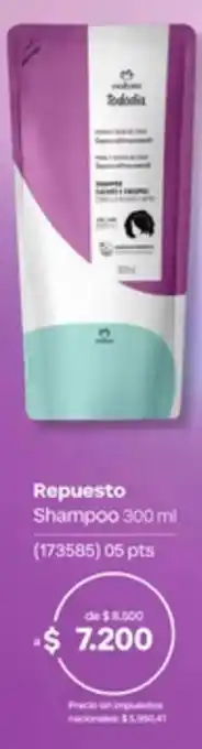 Rodolia shampoo
