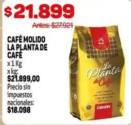 Makro La planta de café - café molido oferta