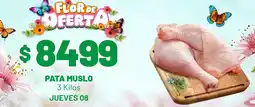Almacor Pata muslo oferta